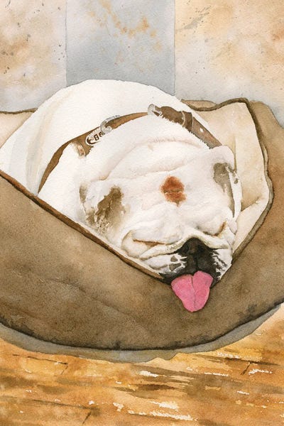 Pet Obsessed: Cutie Pie by Liz Covington