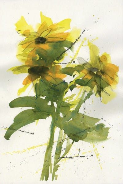 Daisies: Daises by Liz Covington