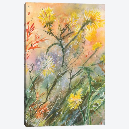 Dandelions Canvas Print #LCV178} by Liz Covington Canvas Print