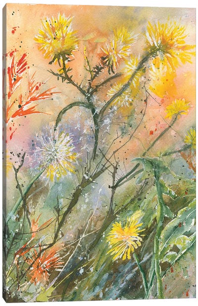 Dandelions Canvas Art Print - Liz Covington