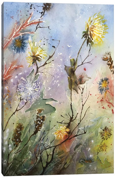 Dandelions And Thistles Also Canvas Art Print - Liz Covington