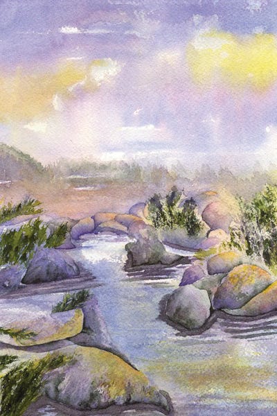 Rocks: Desert Brook by Liz Covington