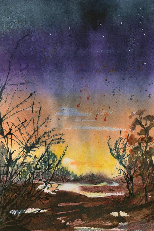 Desert Evening by Liz Covington wall art