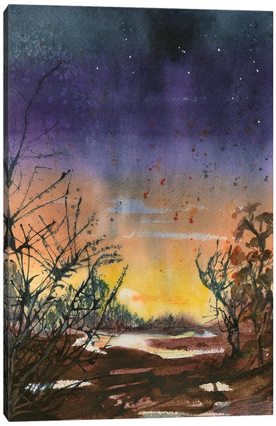 Desert Evening Canvas Art Print - Liz Covington