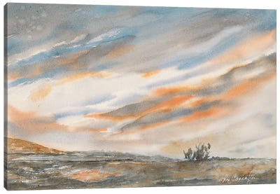 Desert Sunset Canvas Art Print - Liz Covington