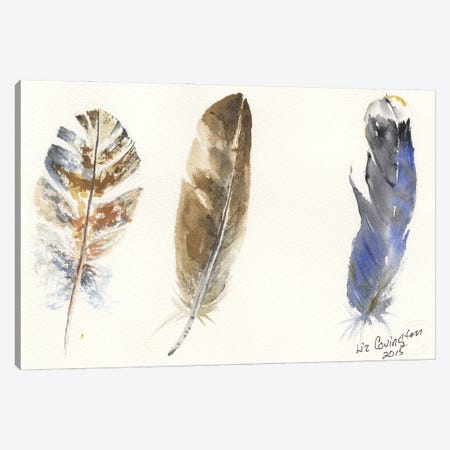 Feathers Canvas Print #LCV188} by Liz Covington Canvas Wall Art