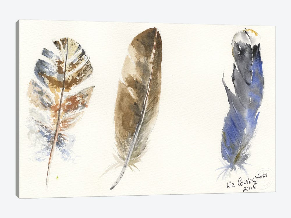 Feathers by Liz Covington 1-piece Canvas Art