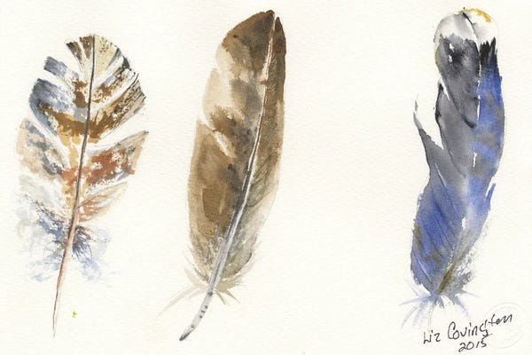 Natural Elements: Feathers by Liz Covington