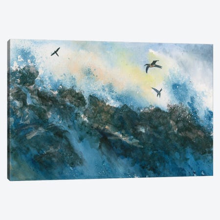 Galapagos Canvas Print #LCV192} by Liz Covington Canvas Art Print