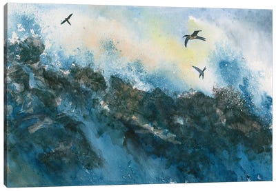 Galapagos Canvas Art Print - Liz Covington