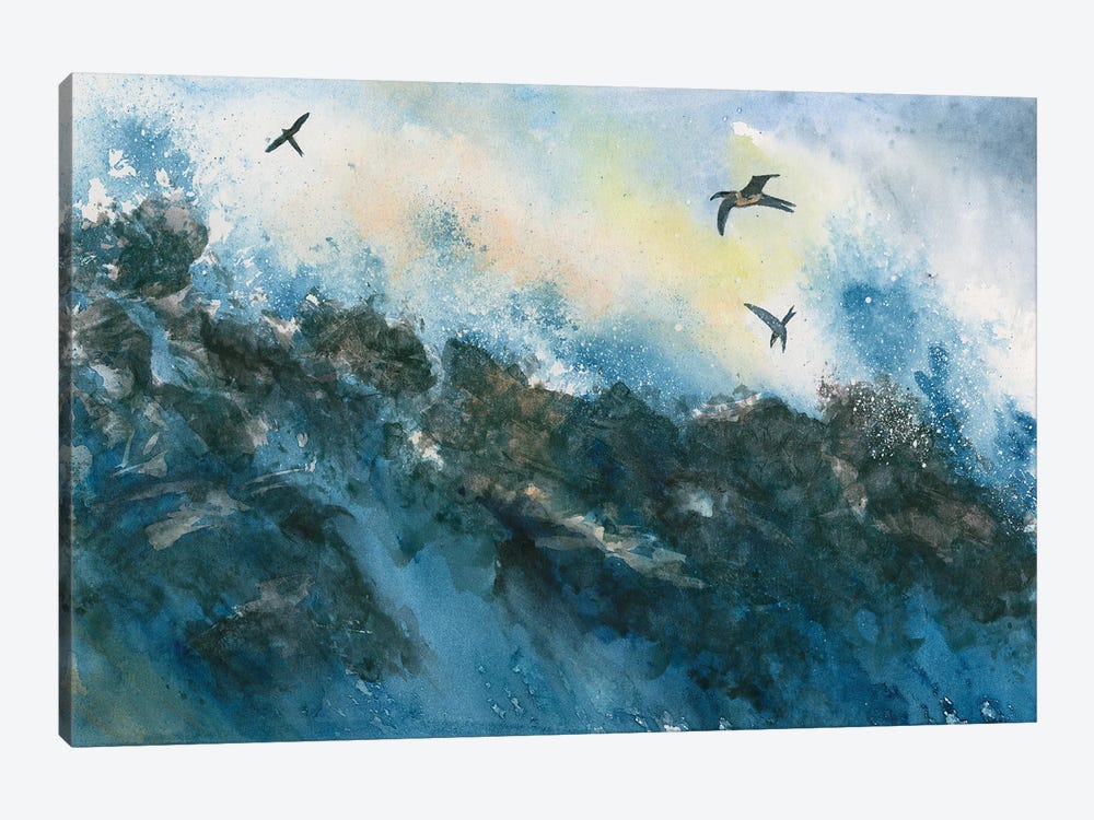 Galapagos by Liz Covington 1-piece Canvas Print