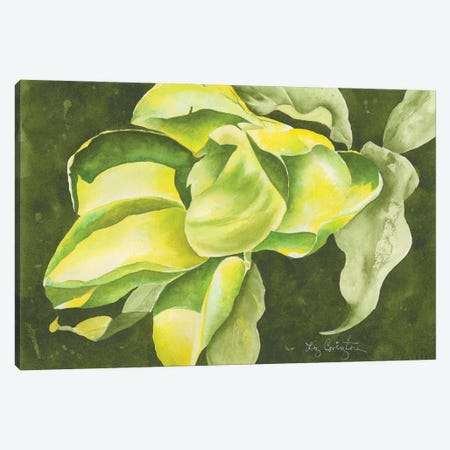 Green Beauty Canvas Print #LCV200} by Liz Covington Art Print