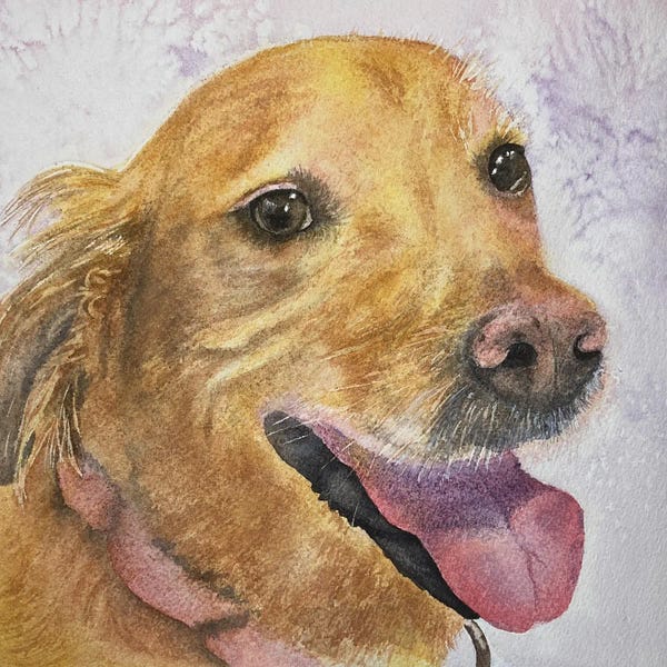 Golden Retrievers: Lucy by Liz Covington