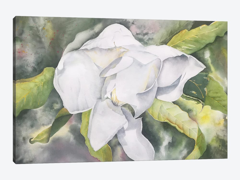 Magnolia II by Liz Covington 1-piece Canvas Print