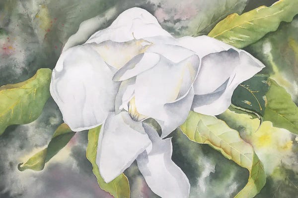 Floral Close-Ups: Magnolia II by Liz Covington