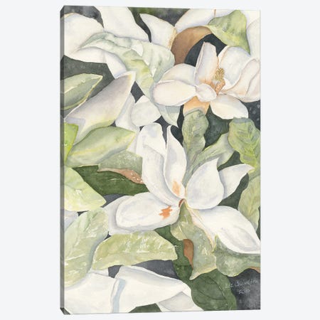 Magnolias Canvas Print #LCV217} by Liz Covington Art Print