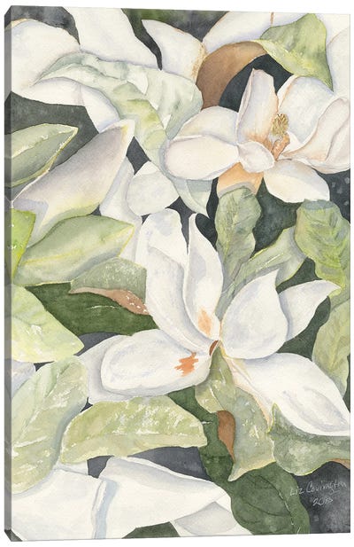 Magnolias Canvas Art Print - Serene Watercolors