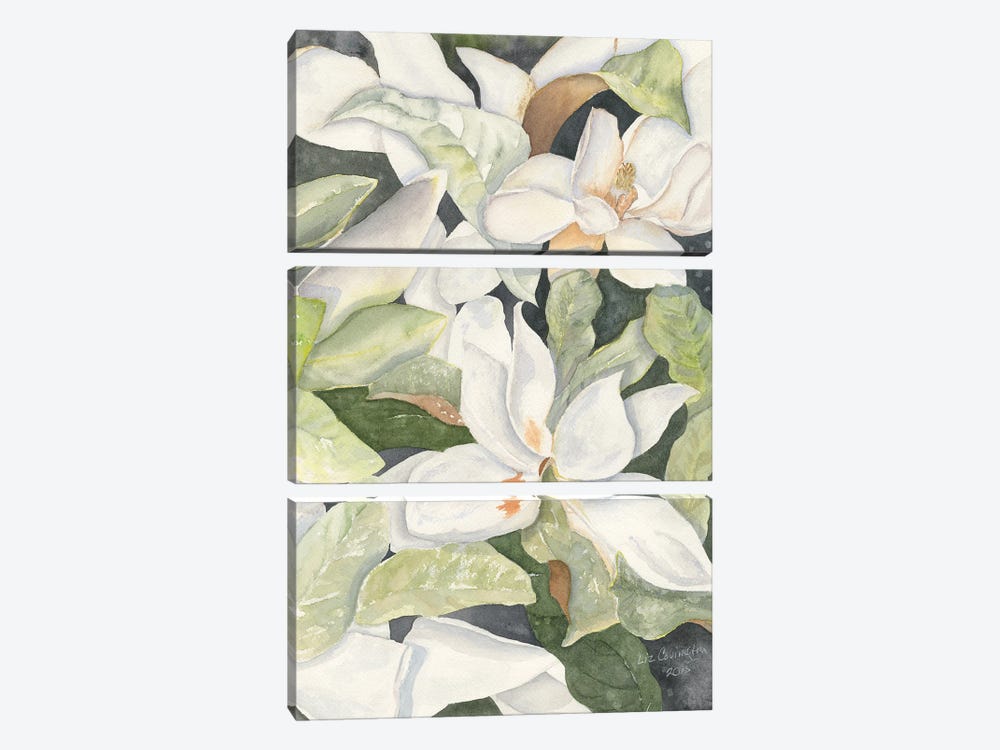 Magnolias by Liz Covington 3-piece Canvas Art