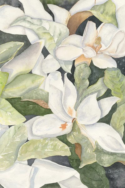 Serene Watercolors: Magnolias by Liz Covington