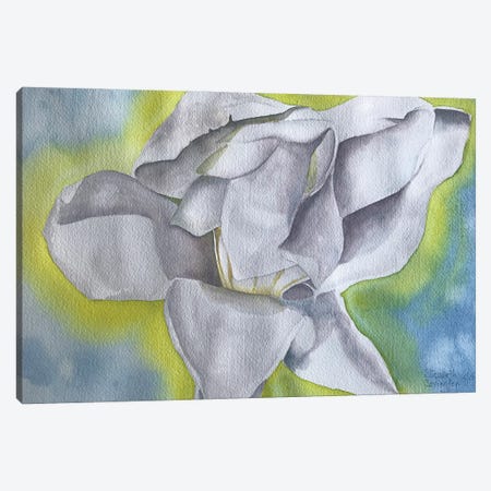 Magnolia's Glow I Canvas Print #LCV218} by Liz Covington Canvas Artwork