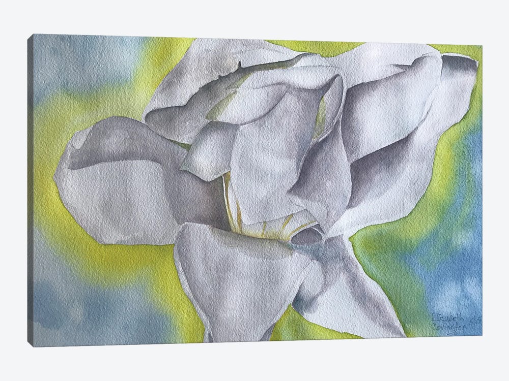 Magnolia's Glow I by Liz Covington 1-piece Canvas Print