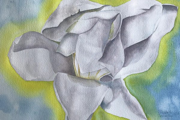 Magnolias: Magnolia's Glow I by Liz Covington