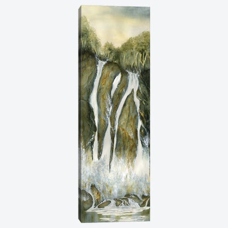 Mountain Waterfall Canvas Print #LCV226} by Liz Covington Canvas Wall Art