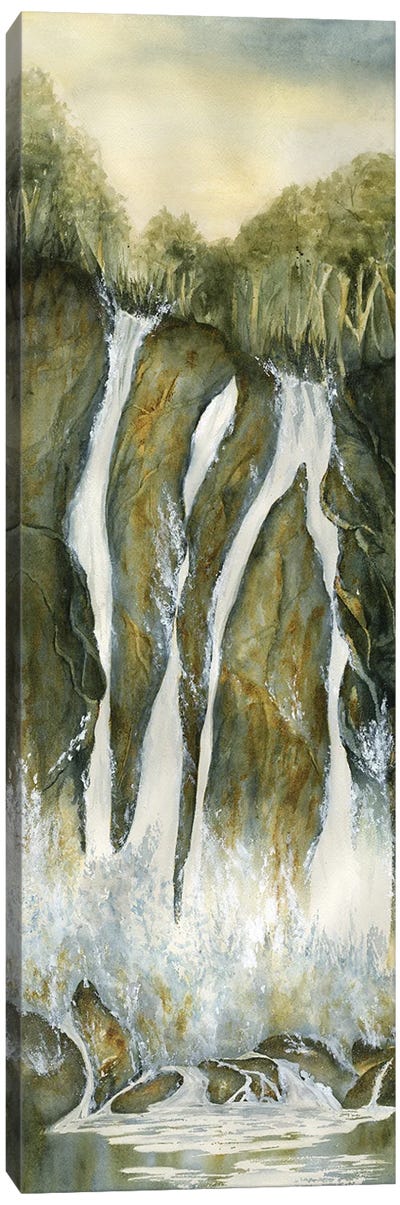 Mountain Waterfall Canvas Art Print - Liz Covington