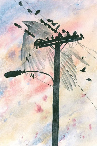Crows: Murder At Sunset by Liz Covington