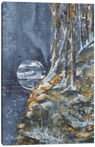 Night Blizzard Canvas Art Print - Liz Covington