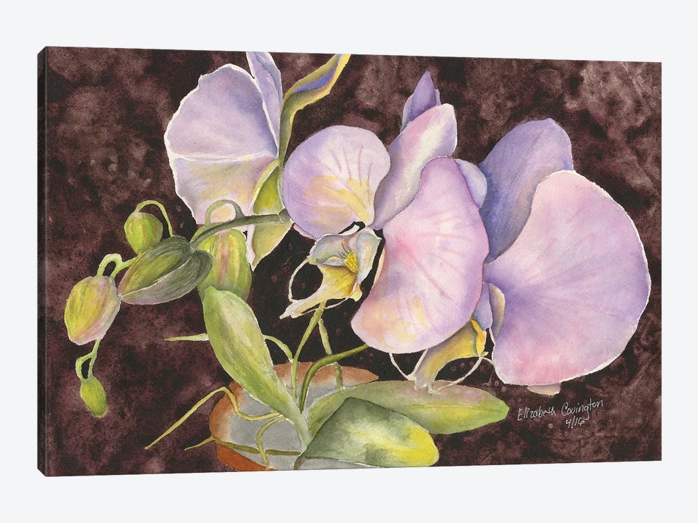 Orchids by Liz Covington 1-piece Canvas Print