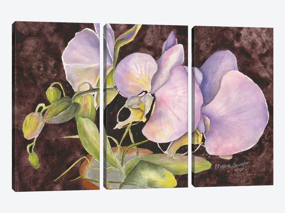 Orchids by Liz Covington 3-piece Canvas Print