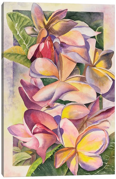 Plumeria Canvas Art Print - Liz Covington