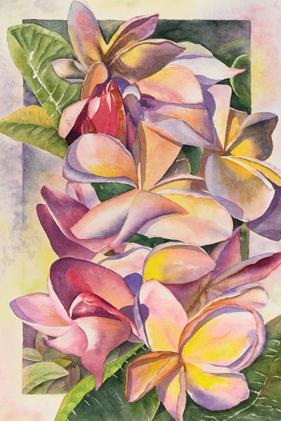 Floral Close-Ups: Plumeria by Liz Covington