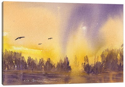 Purple Sunrise Canvas Art Print - Liz Covington