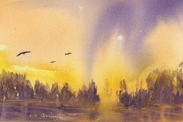 Subtle Landscapes: Purple Sunrise by Liz Covington