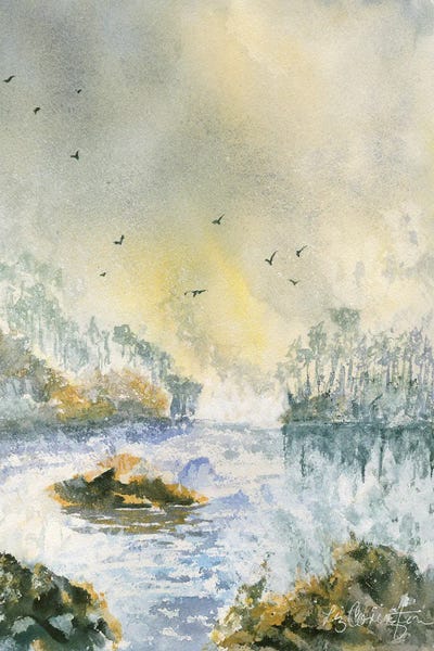 Rain Threatens by Liz Covington gallery poster