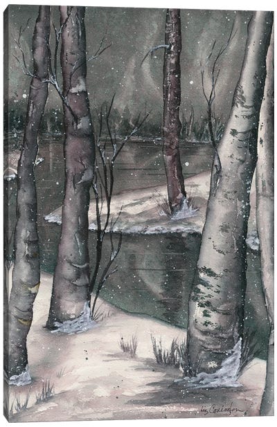 Snowy Night Canvas Art Print - Liz Covington