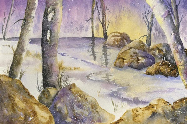 Liz Covington: Snowy Sunset by Liz Covington