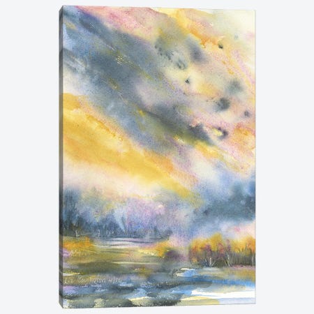 Stormy Sky Canvas Print #LCV256} by Liz Covington Canvas Art Print