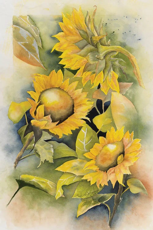 Sunflowers