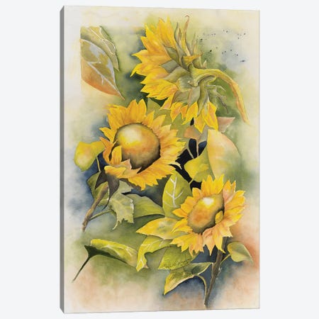 Sunflowers Canvas Print #LCV259} by Liz Covington Canvas Wall Art