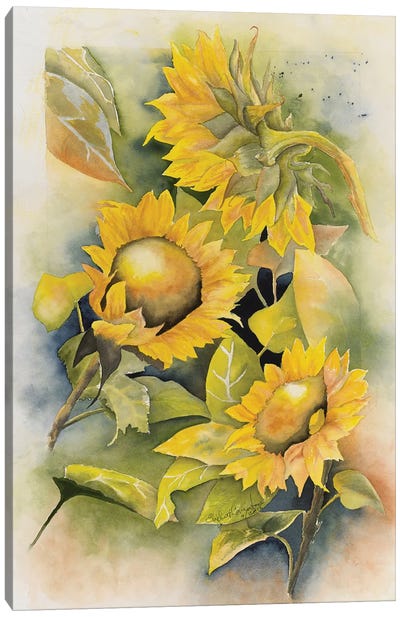 Sunflowers Canvas Art Print - Liz Covington