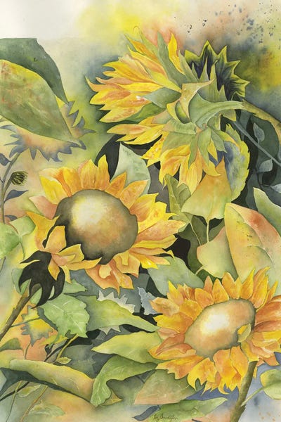 Sunflowers II by Liz Covington framed canvas print