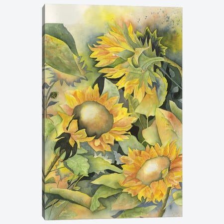 Sunflowers II Canvas Print #LCV260} by Liz Covington Canvas Art Print