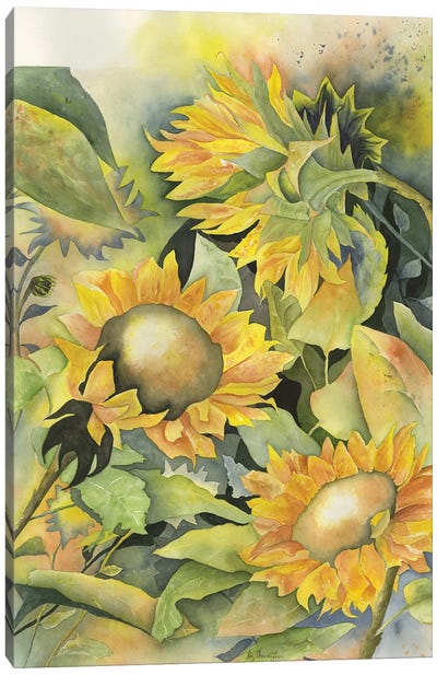 Sunflowers II Canvas Art Print - Liz Covington