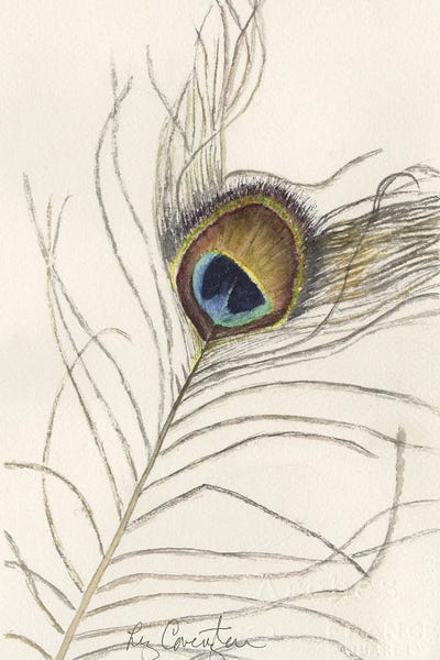 Natural Elements: The Eye by Liz Covington