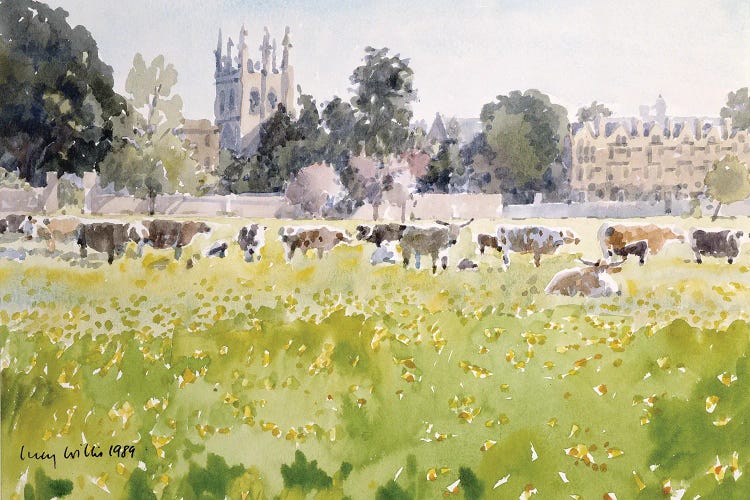 Looking Across Christ Church Meadows, 1989