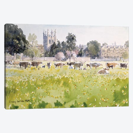 Looking Across Christ Church Meadows, 1989 Canvas Print #LCW15} by Lucy Willis Canvas Print