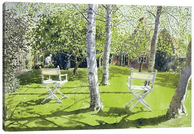 Silver Birches, 1988 Canvas Art Print - Furniture